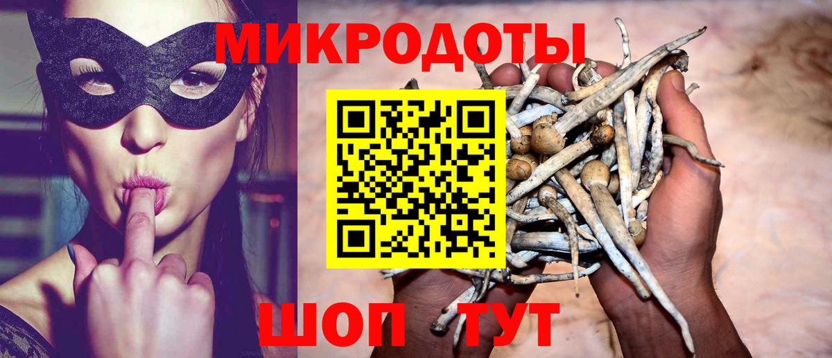 Псилоцибиновые грибы Cubensis  Вход с VPN  Лабытнанги 